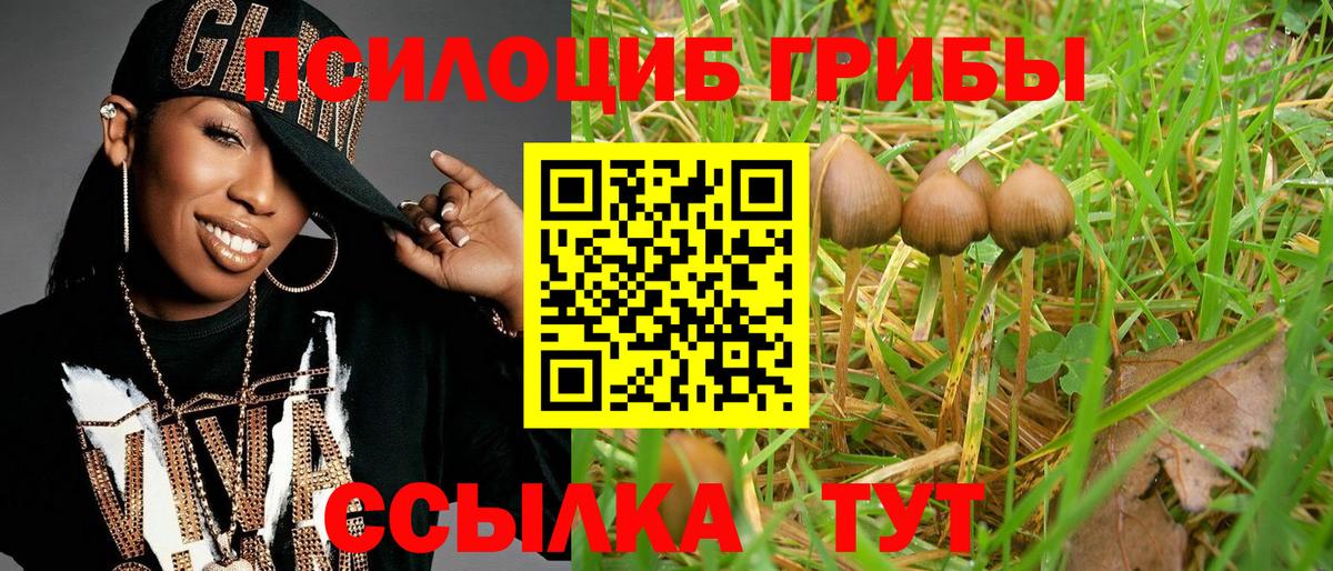 Псилоцибиновые грибы Magic Shrooms Верхняя Салда
